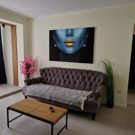 University Apartment Baia Mare Exteriér fotografie
