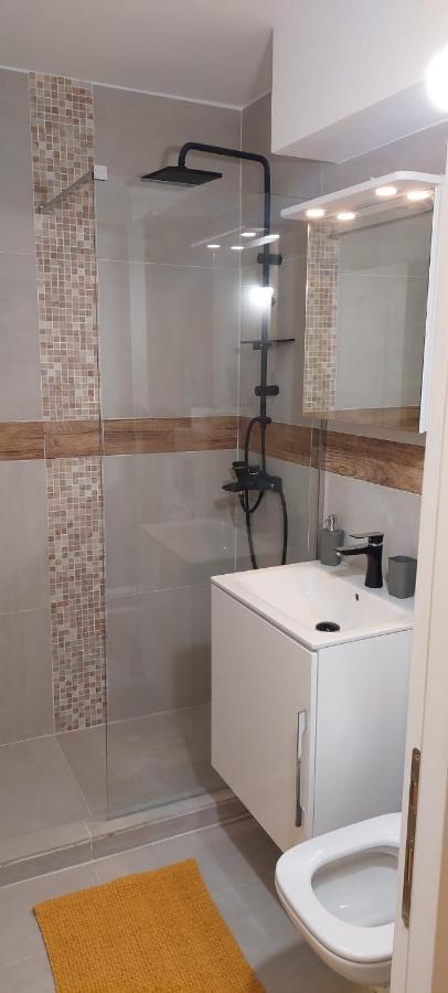 University Apartment Baia Mare Exteriér fotografie