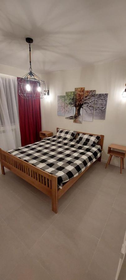 University Apartment Baia Mare Exteriér fotografie