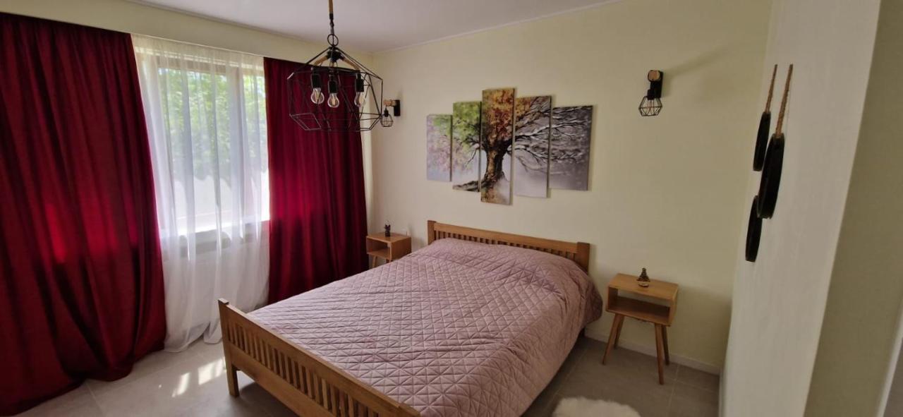 University Apartment Baia Mare Exteriér fotografie