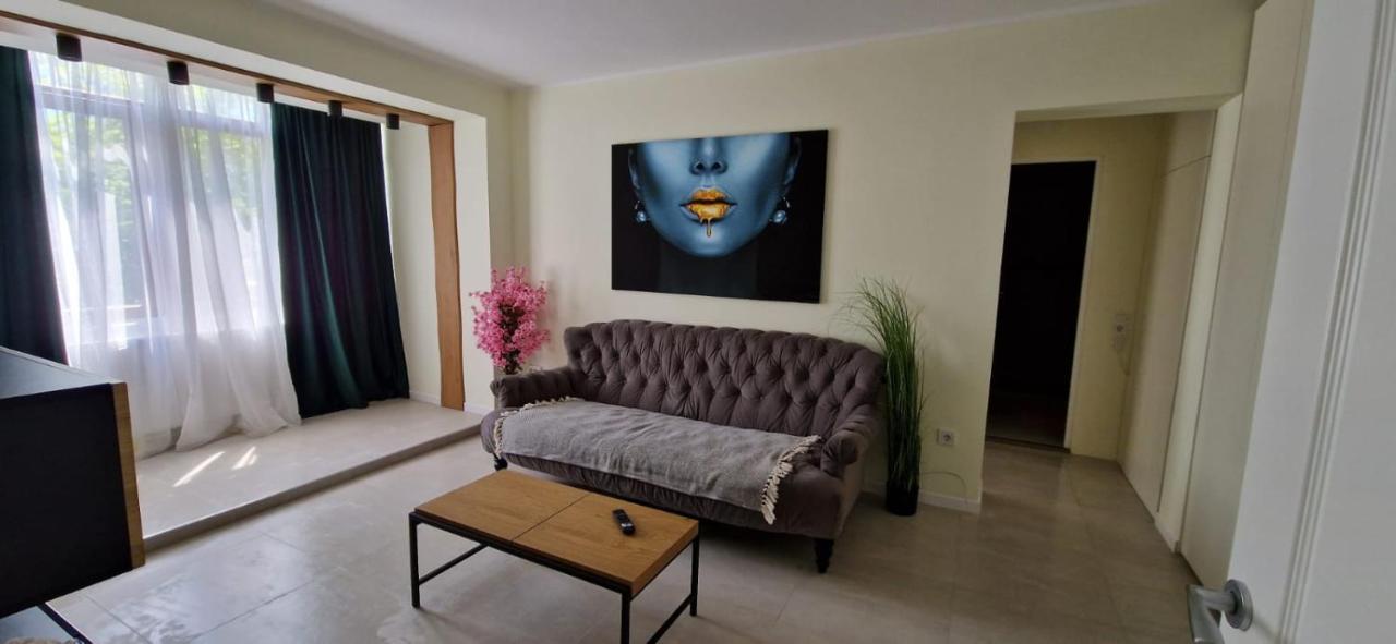 University Apartment Baia Mare Exteriér fotografie